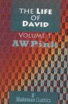 Book: The Life of David (Volume 1)
