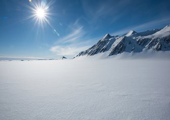 Bowers of the Antarctic